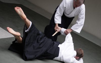 Aikido-Basis-Training