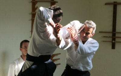Aikido und Iaido im Frühjahr ’24 mit Claude Shihan und Michel Shihan