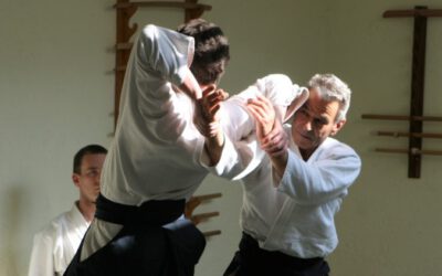 Aikido und Iaido im Frühjahr ’25 mit Claude Shihan und Michel Shihan