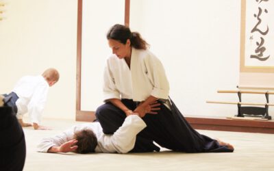 Aikido-Lehrgang zum Kennenlernen