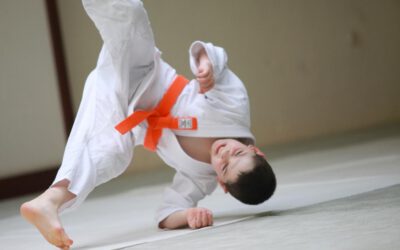 Basistraining Ukemi und Fallschule