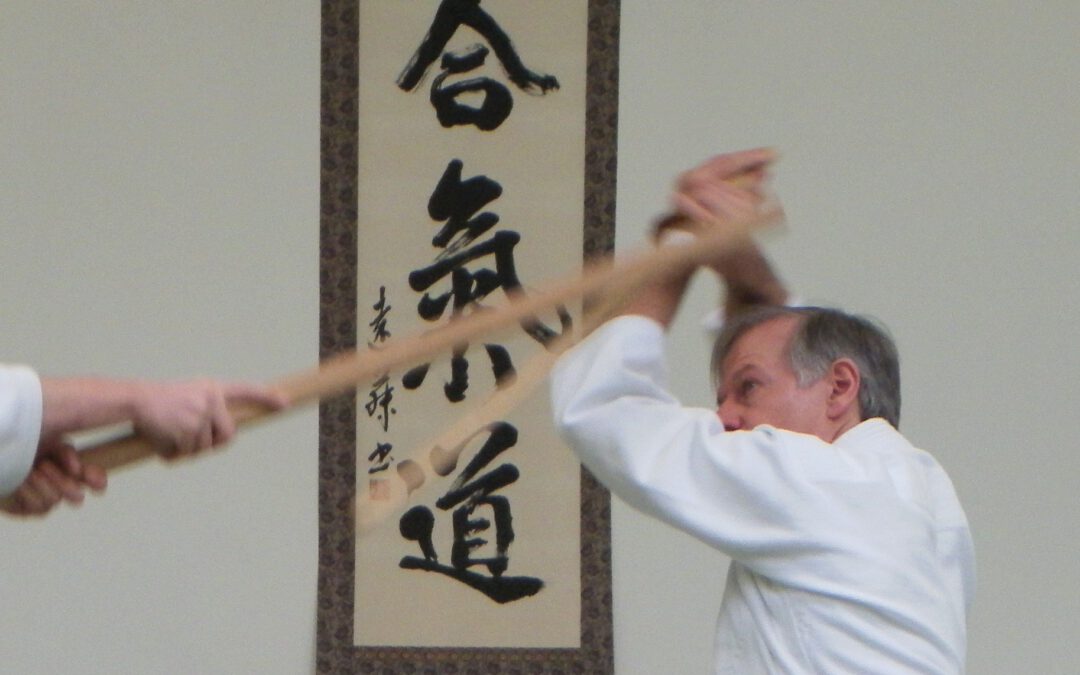 Aikido-Stock-Training
