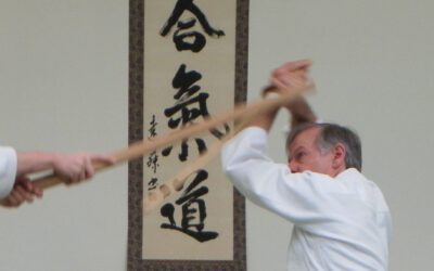 Aikido-Stock-Training